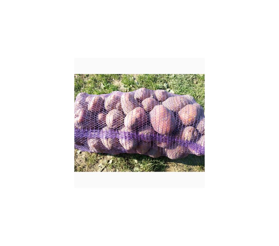 Картофель Беллароза сетка(20-22 кг)